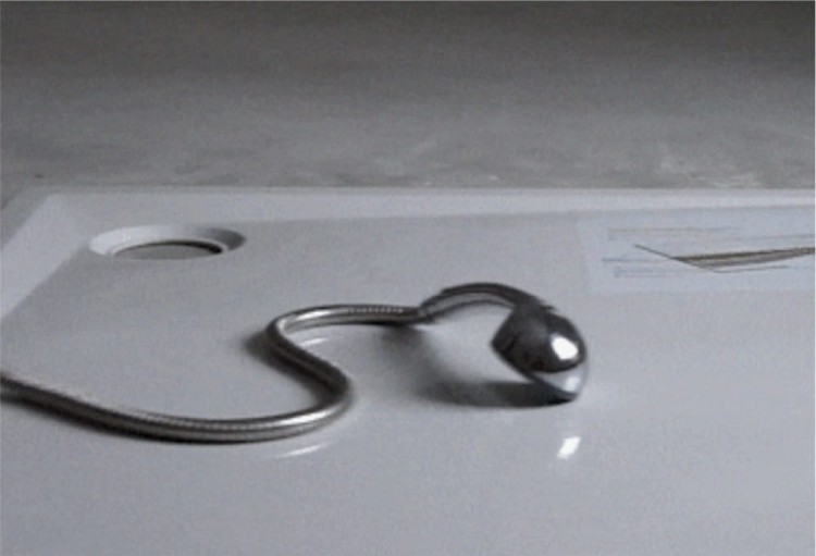 4fc44ce46a193950122c4c16b9d43349