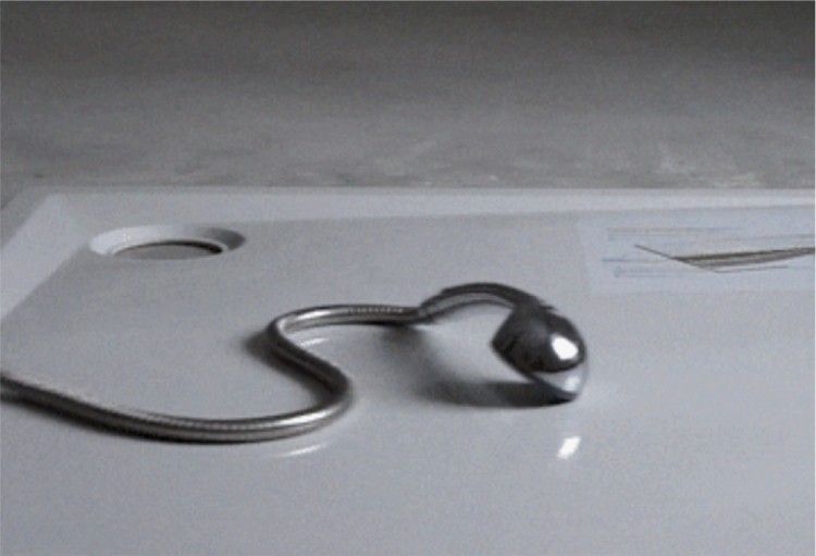 2435b53d9651fe34776d692d2bf74197