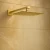 pol_pl_Deszczownica-Balneo-Cascade-model-2-Zlota-21036_3.webp