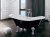 #WPO-170BWGG_1.jpg