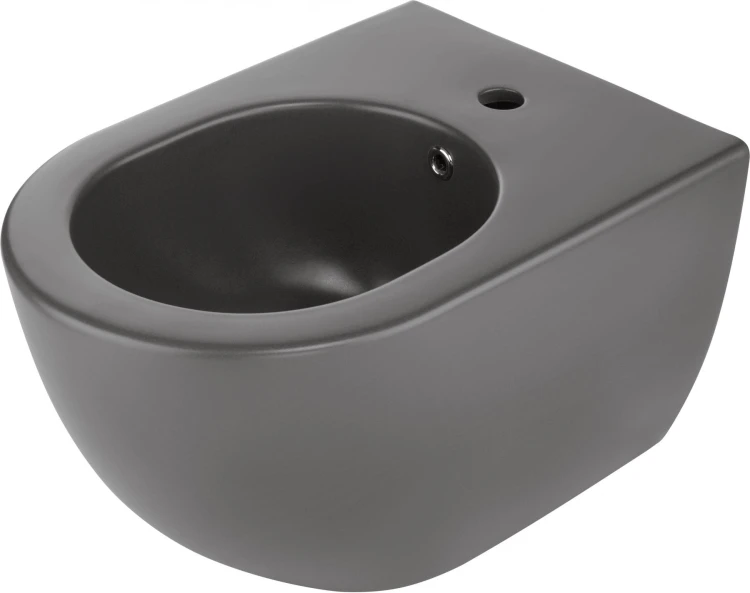 bidet.jpg
