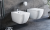 ness bidet 2.png