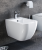 ness bidet 3.png