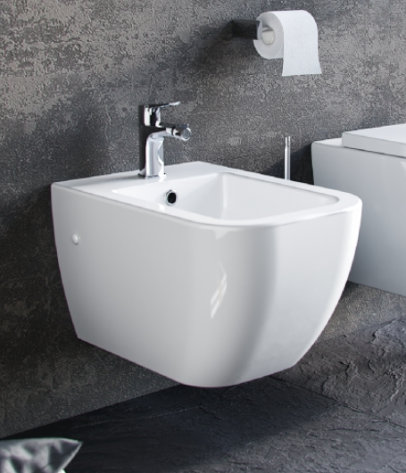 ness bidet 3.png